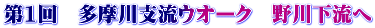 第1回　多摩川支流ウオーク　野川下流へ