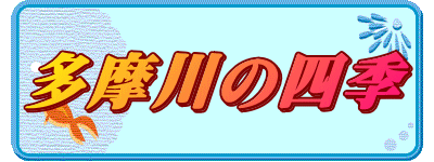 ̎lG