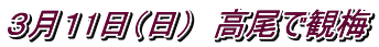 RP1ij@Ŋϔ~