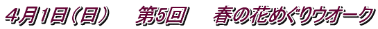 S1ij@@5@@t̉Ԃ߂EI[N